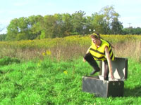 Bees-Dance_VIDO-THUMB