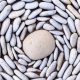 This is a photo of small pebbles around big stone