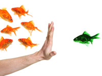 This is a photo of a hand excluding a green fish from a group of orange fish.