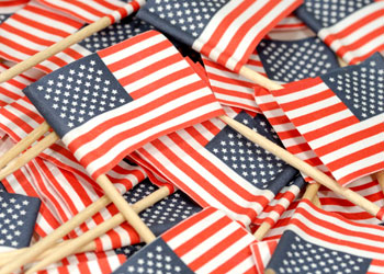 This is a photo of small american flags.