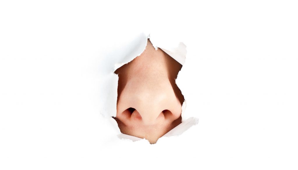 A person's nose sticking out through white torn paper