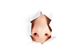 A person's nose sticking out through white torn paper