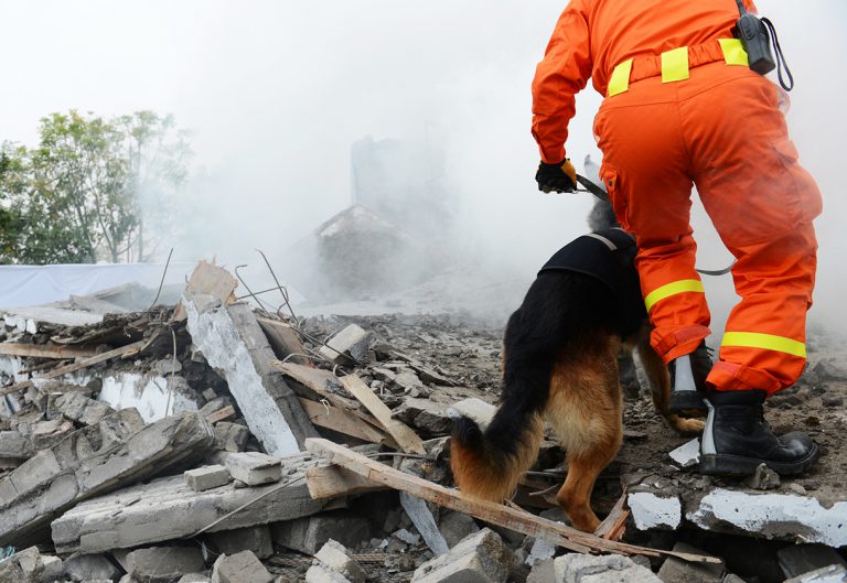 Search and rescue forces search through a destroyed building with the help of rescue dogs.