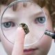 Young Boy Examining A Beetle Through Magnifying Glass