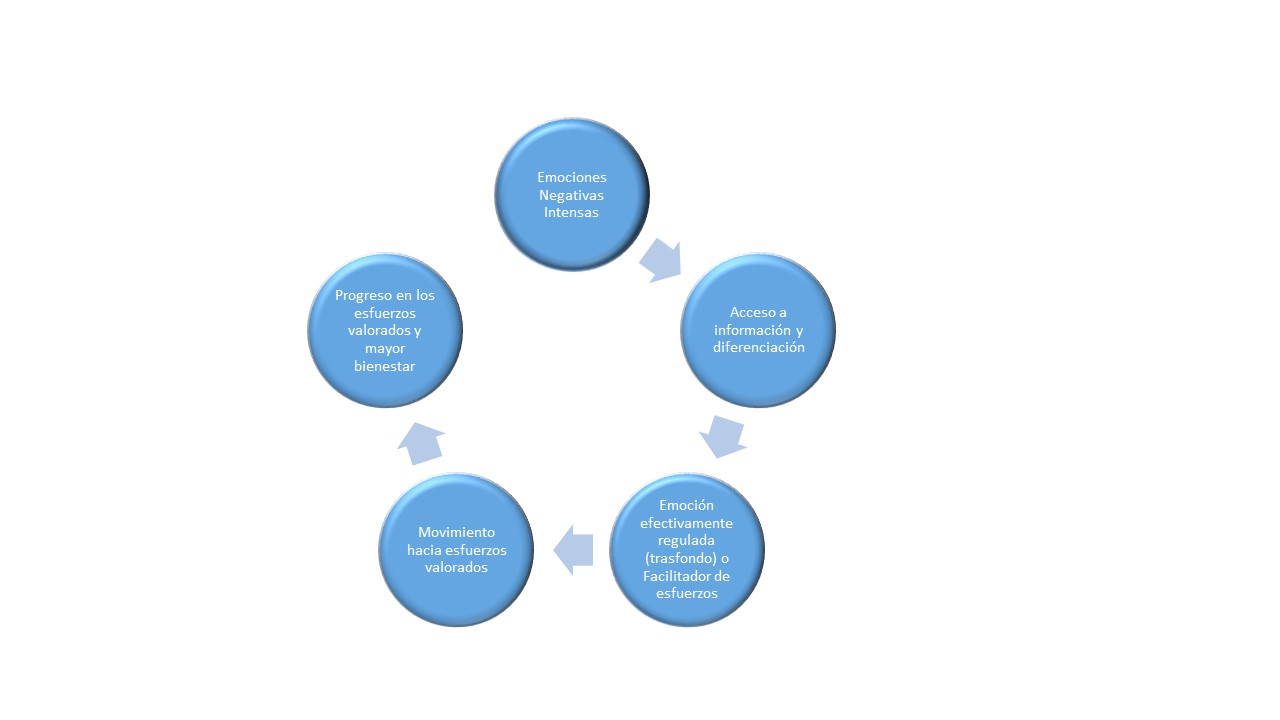 Fig 1 - Emotions