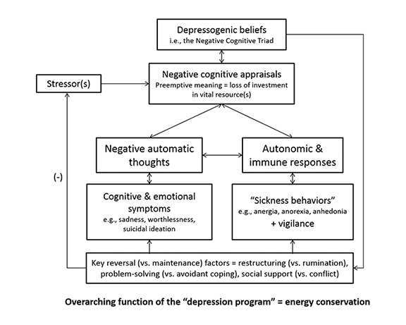 This is a figure mapping out Aaron Beck and Keith Bredemeier's theory of depression.
