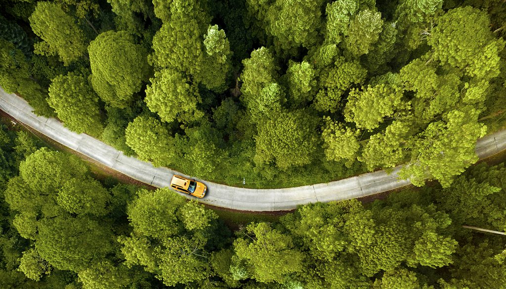 Yellow car driving on a road through a forest