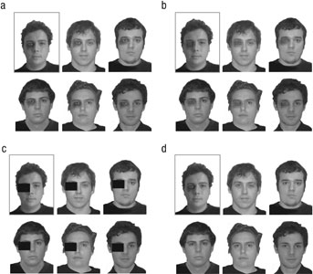 Examples of lineup types. A suspect’s distinctive feature can be (a) replicated or concealed either (b) by pixelation or (c) with a block. These are considered fair lineups. Doing nothing about the distinctive feature (d; a do-nothing lineup) constitutes an unfair lineup. The boxed image in each lineup indicates the suspect with the distinctive facial feature.