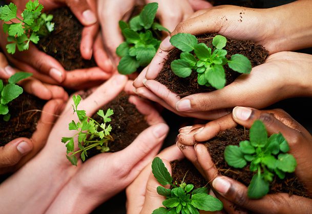 Motivating Eco-Friendly Behaviors Depends on Cultural Values – Association  for Psychological Science – APS