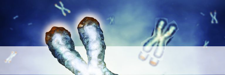A picture of chromosomes with the telomeres highly visible.
