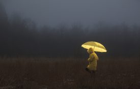 This is a photo of a person with an umbrella crossing a dark field