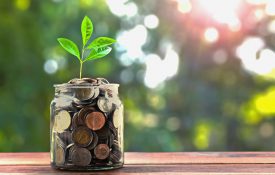This is a photo of a jar of coins with a plant sprouting out of it
