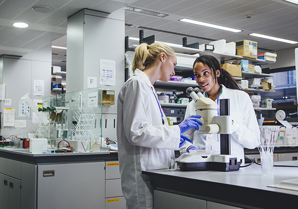 This is Photo of two women using a microscope in a research laboratory.