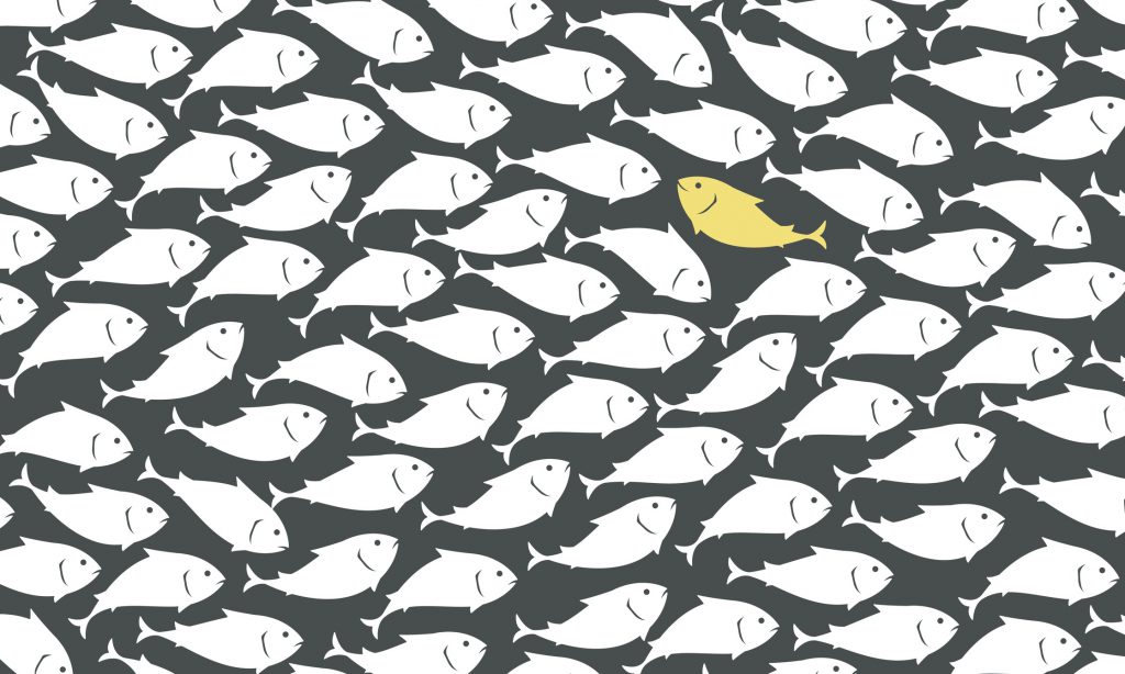 One fish swimming against the stream in a school of fish