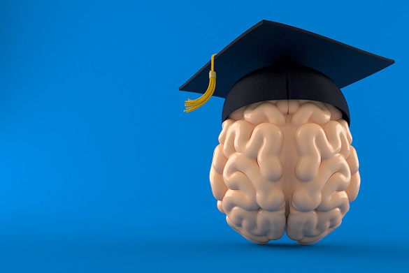Brain with graduation cap