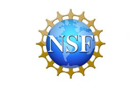 NSF logo