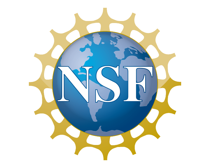 NSF Funding Opportunity for Leading International Research Experiences for US Students