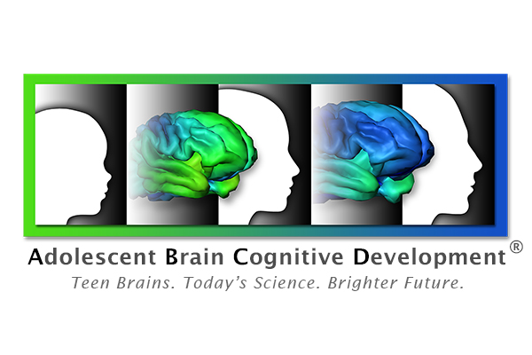 NIH Releases Adolescent Brain Development Data to Scientists