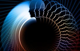 NSF Invites Grant Applications Related to Reproducibility in Neuroimaging