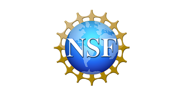 This is an image of the NSF logo.