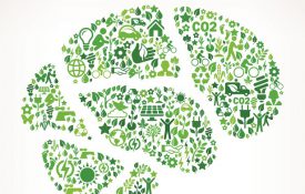 An animation of the brain with environment-themed icons.
