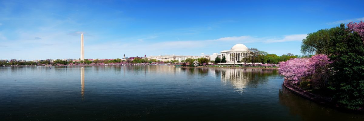 Washington DC skyline panorama