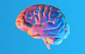 Low poly brain illustration isolated on blue background
