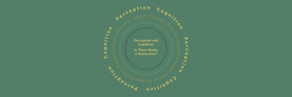 Where Perception Meets Reality: The Science of Measuring Color