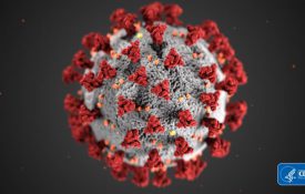 Thumbnail Image for Coronavirus (COVID-19) Research – Publicly Available Articles from SAGE Publishing