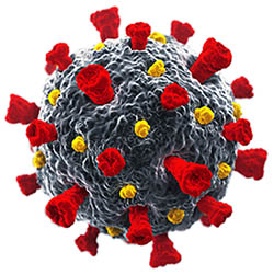COVID-19 Virus Cell Isolated image