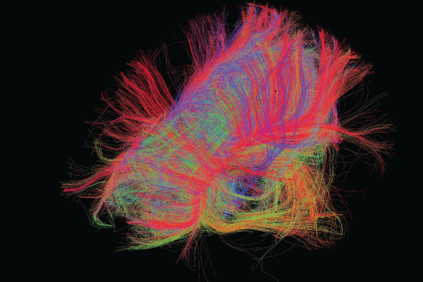 Scanners: Mind and Matter, Current