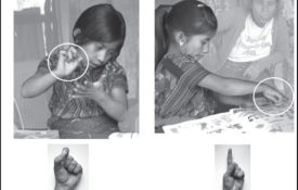 Thumbnail Image for The Self-Taught Vocabulary of Homesigning Deaf Children Supports Universal Constraints on Language
