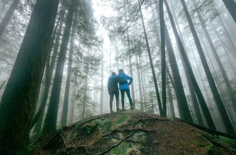 Wide shot of two people standing in the woods, facing away from the camera.