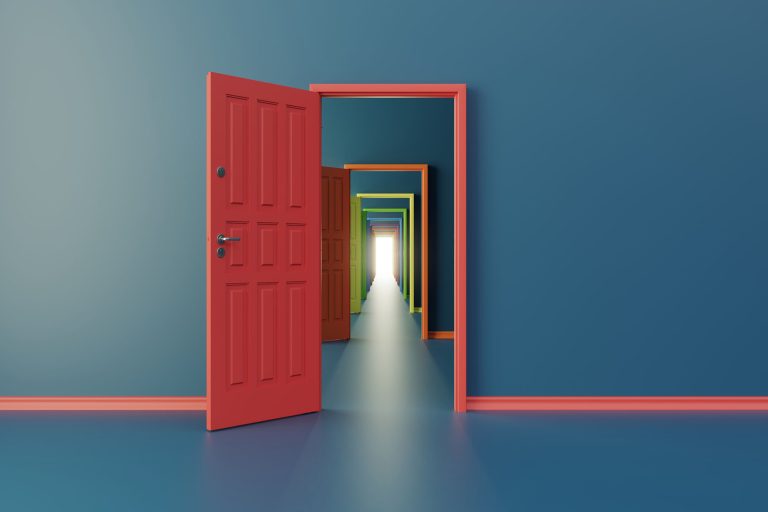 Graphic of a red door opening up to several other doors.
