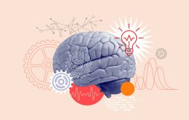 Collage illustration of brain power.