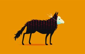 Illustration of a wolf in a sheep mask.