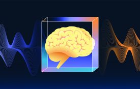Human brain in a crystall cube. Ai, machine learning concept. Vector illustration.